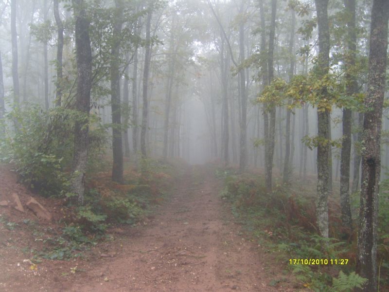 S7302114.jpg