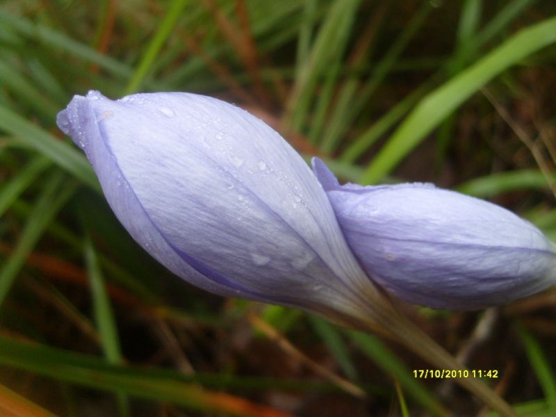 S7302119.jpg