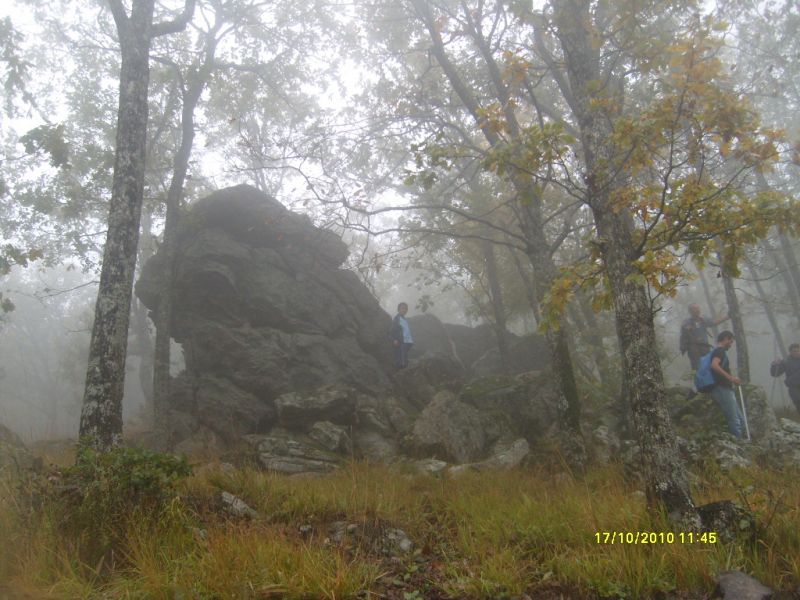 S7302122.jpg