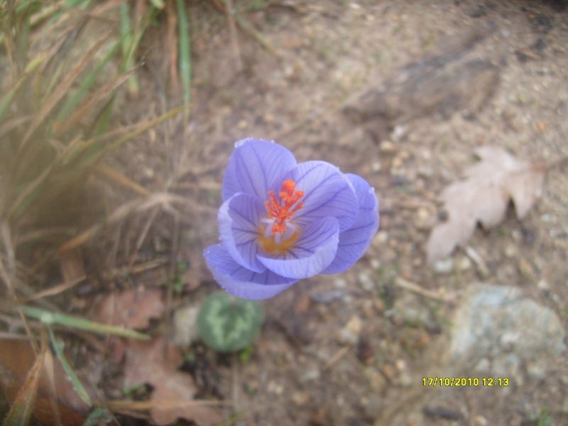 S7302131.jpg