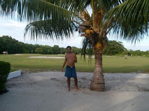 S7302147.jpg