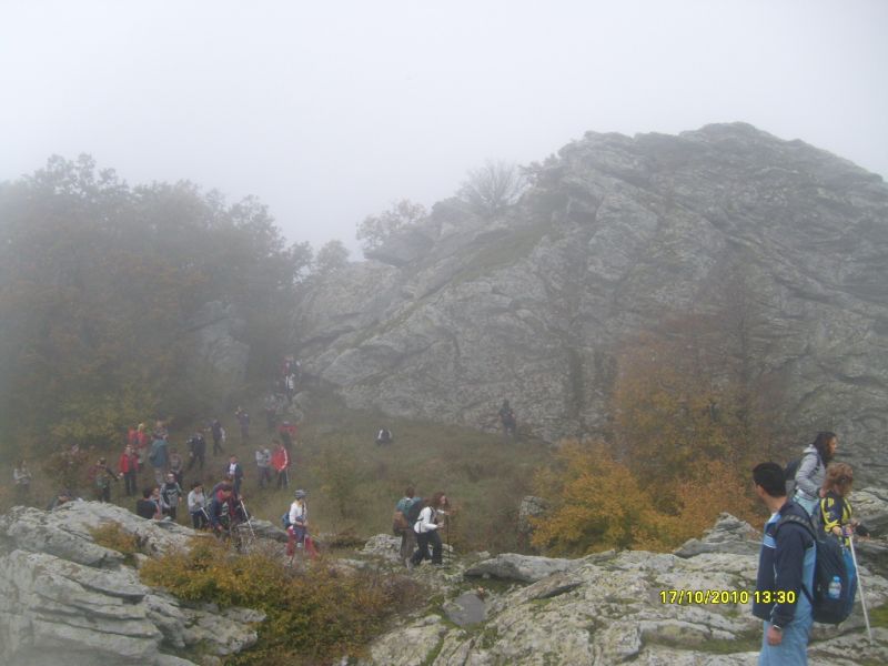 S7302160.jpg