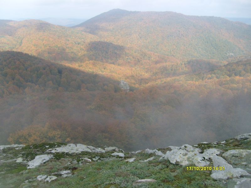 S7302167.jpg