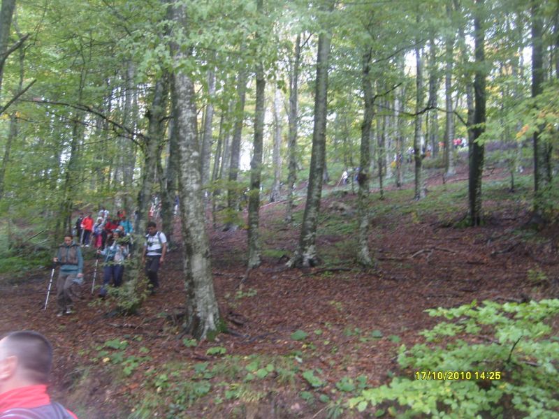 S7302176.jpg