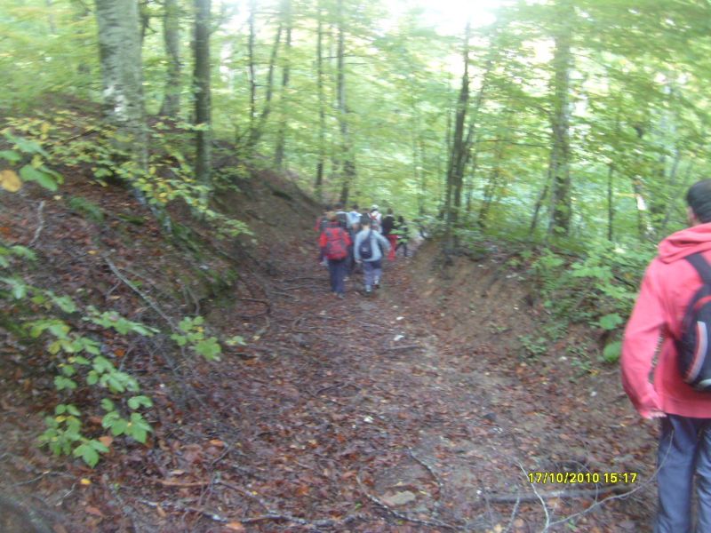S7302184.jpg