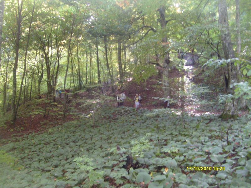S7302185.jpg