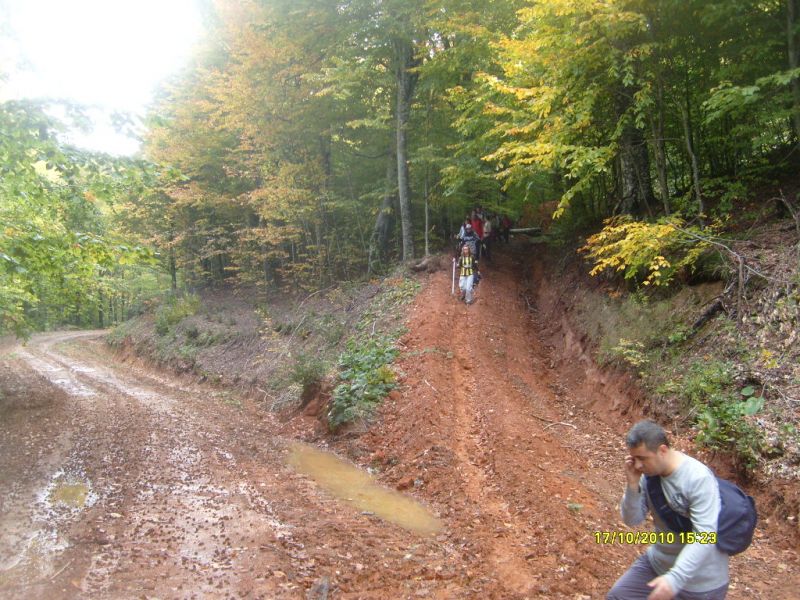S7302186.jpg