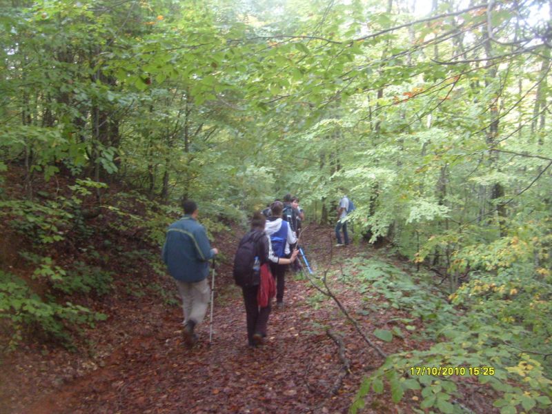 S7302187.jpg