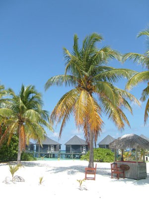 S7302194.jpg
