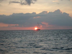S7302500.jpg