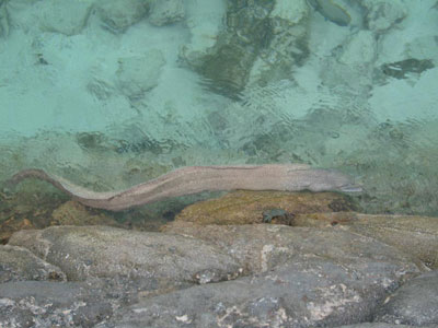 S7302677.jpg