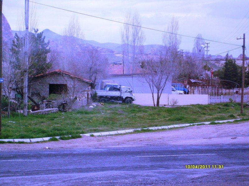 S7305610.JPG