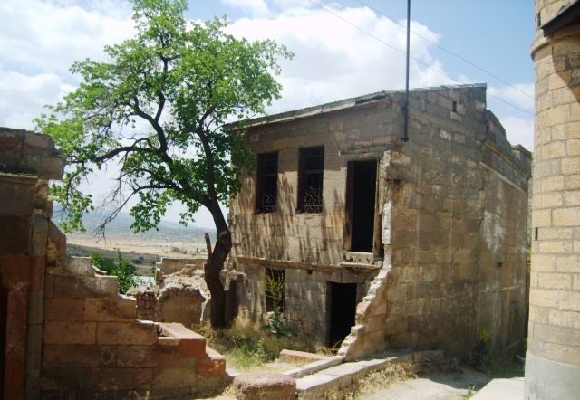 S8001425.jpg