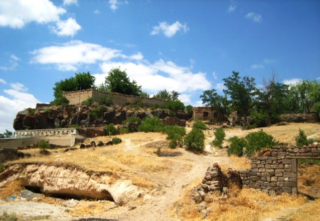 S8001464.jpg