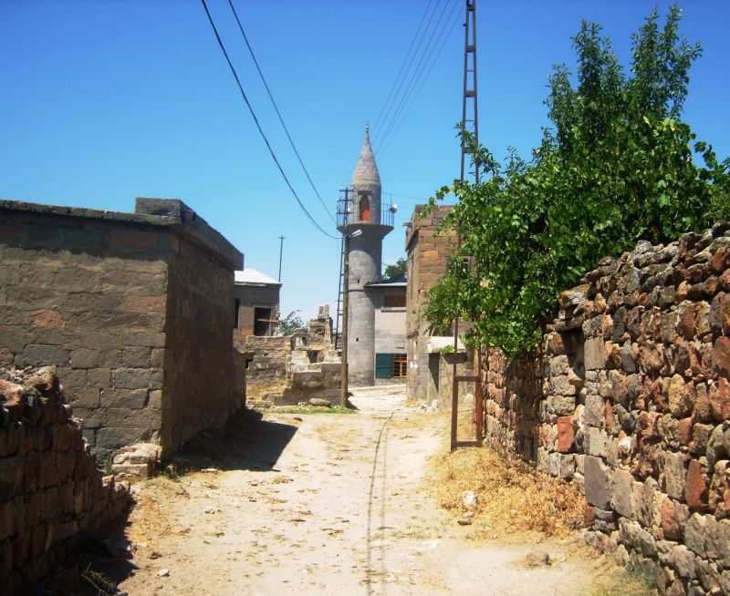 S8008328.jpg