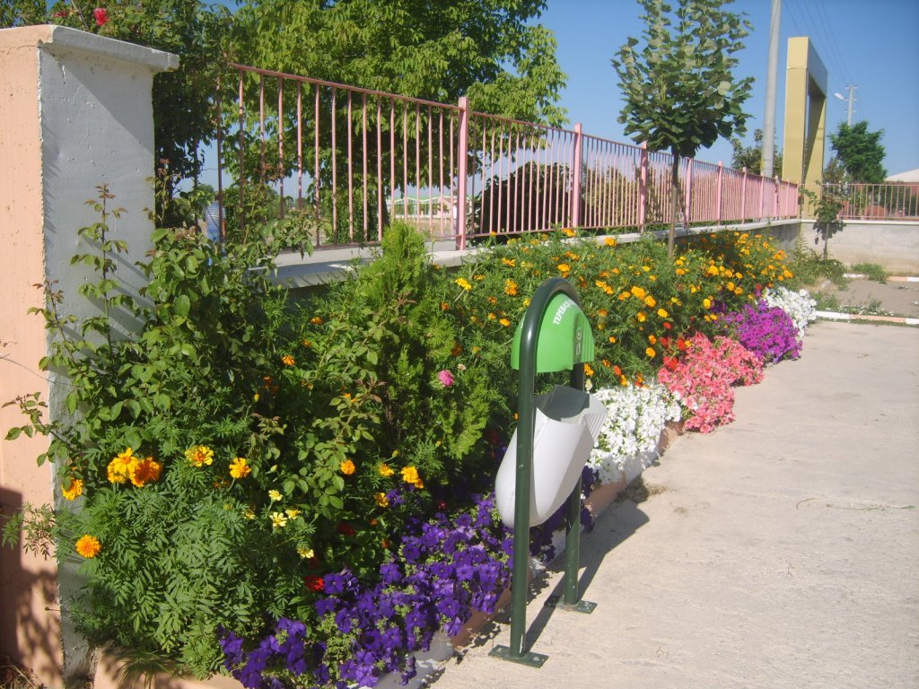 S8302870.JPG