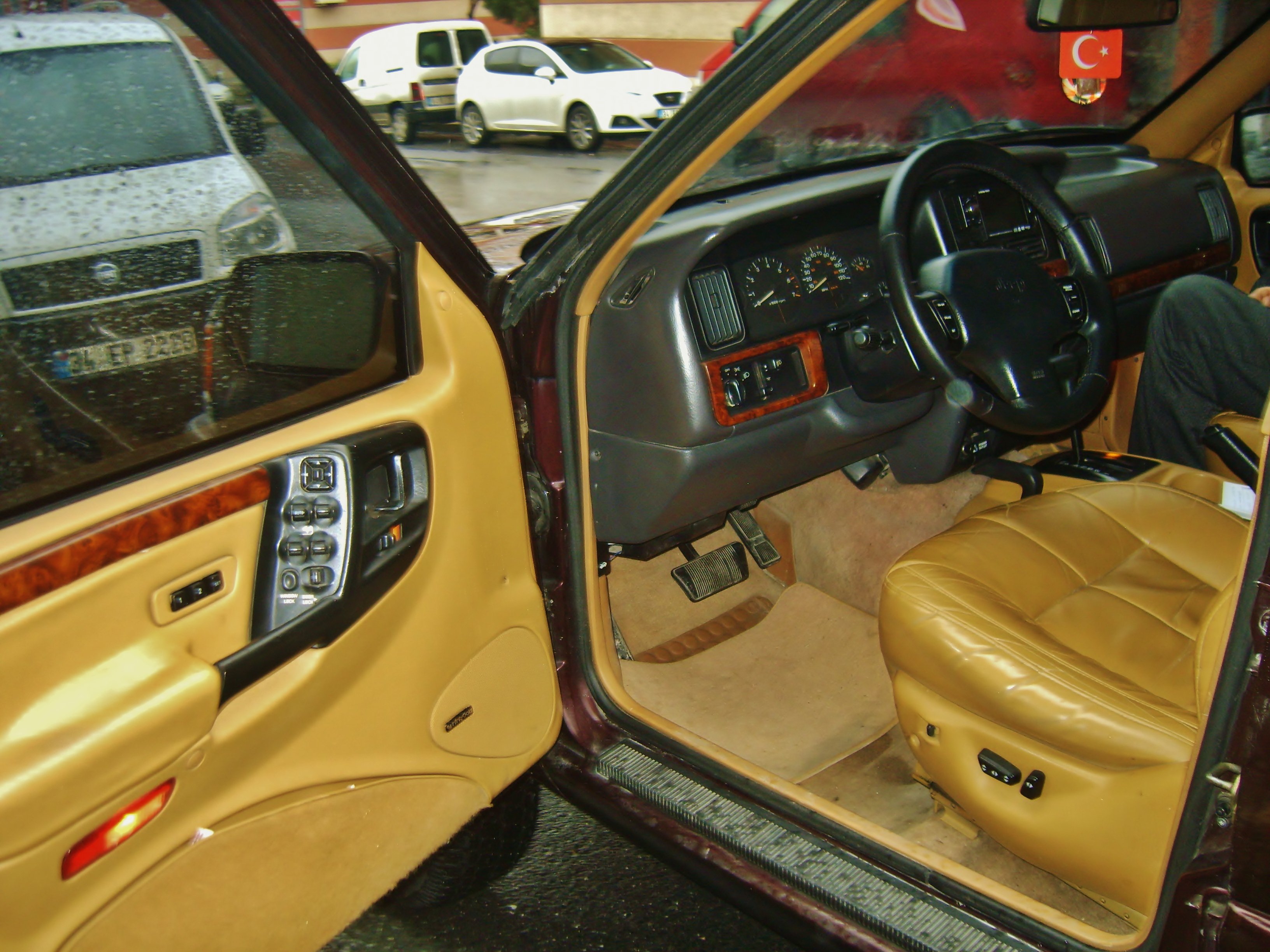 S8305312.jpg