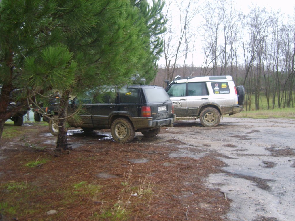 S8305344.jpg