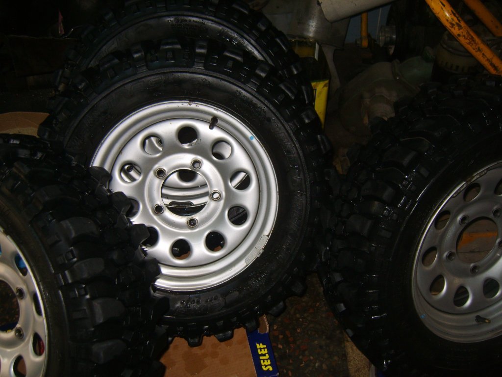 S8305529.JPG