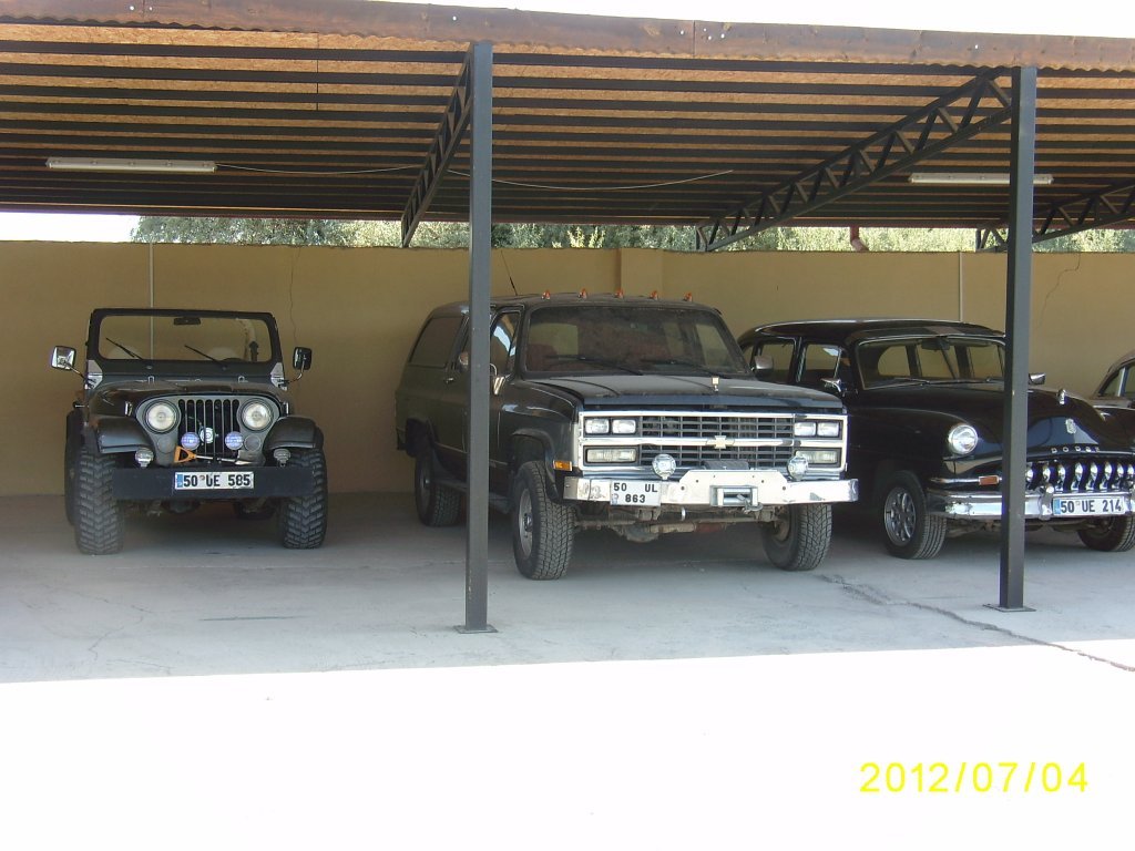 SA550961.JPG