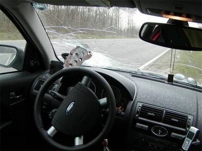 sadece türkiyede ilginç kazalar olmuyormu? (26).jpg