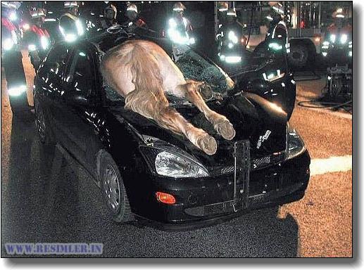 sadece türkiyede ilginç kazalar olmuyormu? (52).jpg