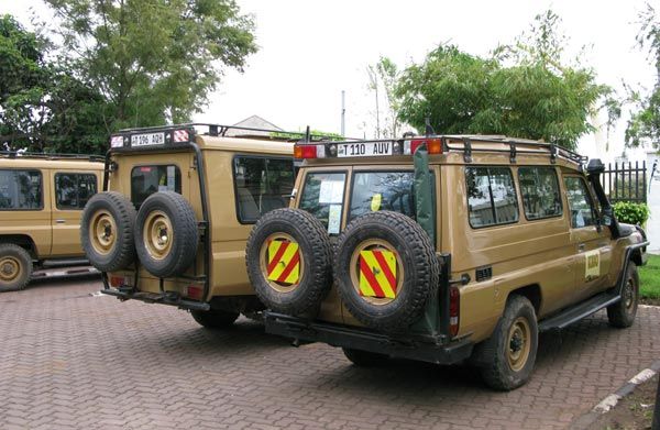 safari-land-cruisers.jpg