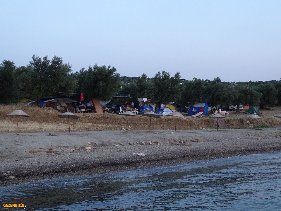 Sahil kamp yeri