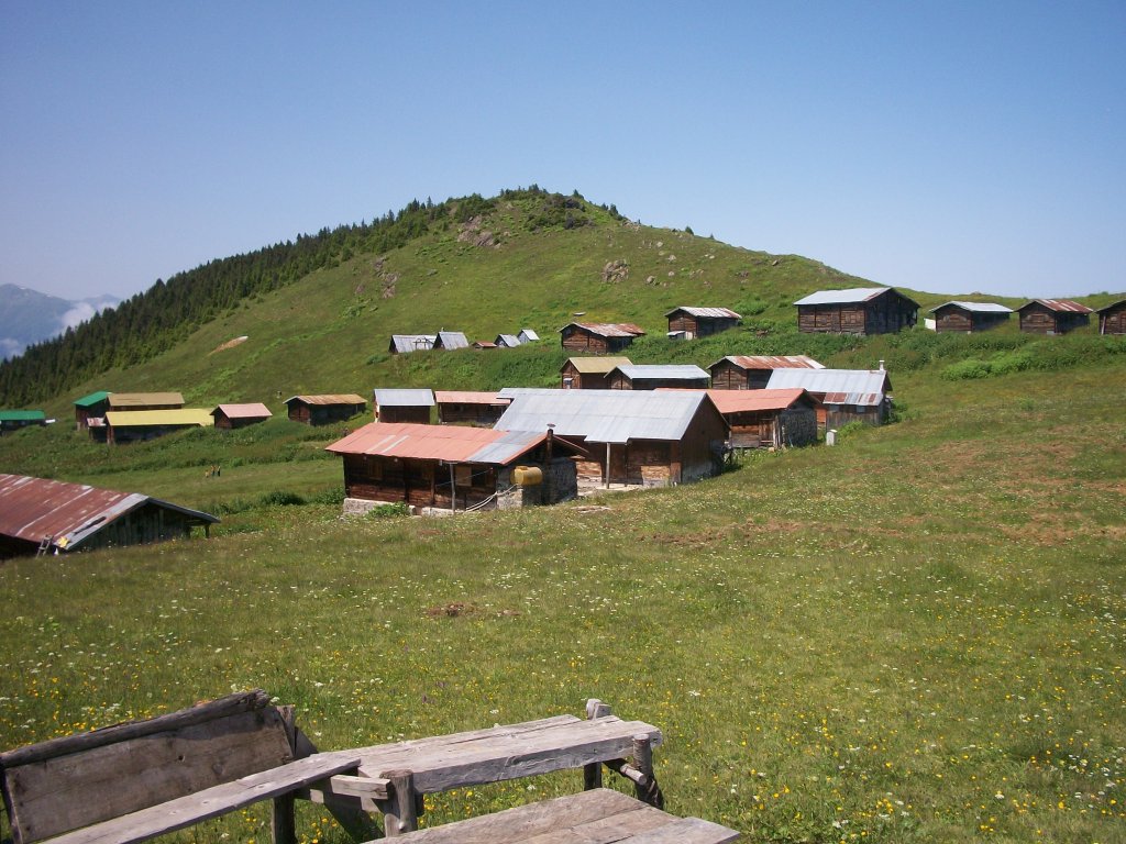 Sal ve Pokut YaylalarÃƒÂƒÃ‚Â„ÃƒÂ‚Ã‚Â± 26.jpg