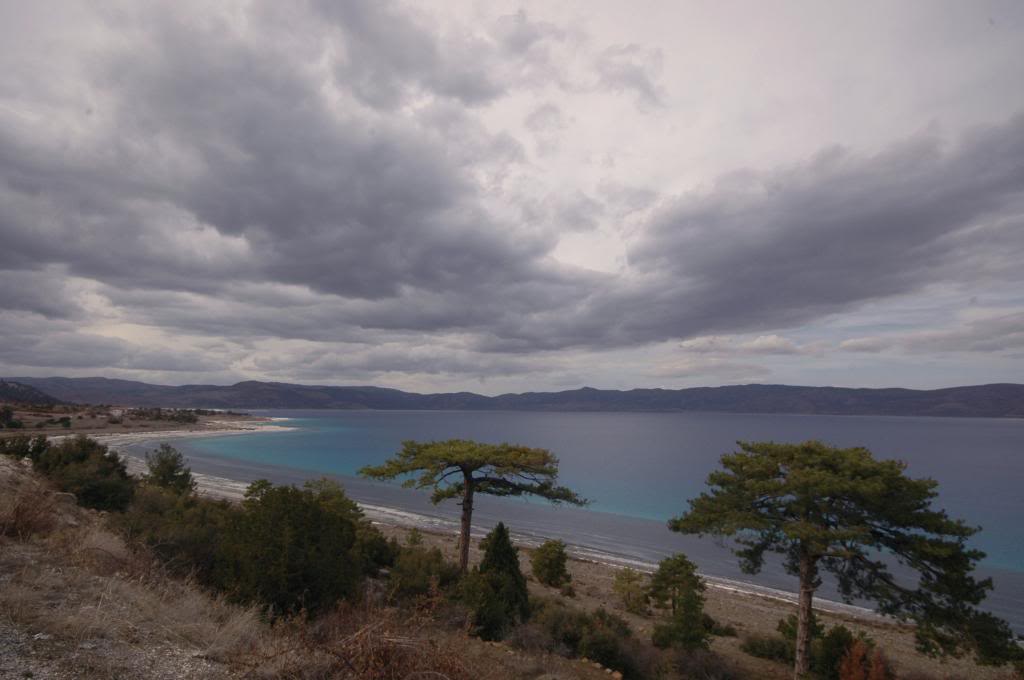 salda-1.jpg