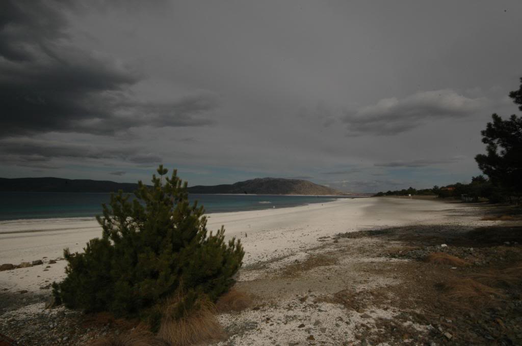 salda2-1.jpg