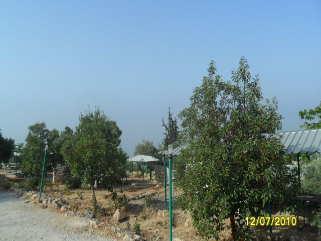 SAM_0272.jpg
