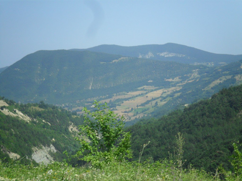 SAM_0496.jpg