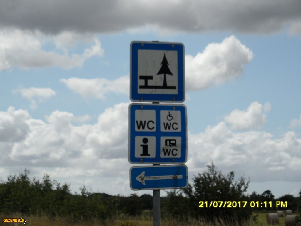 SAM_0690.JPG