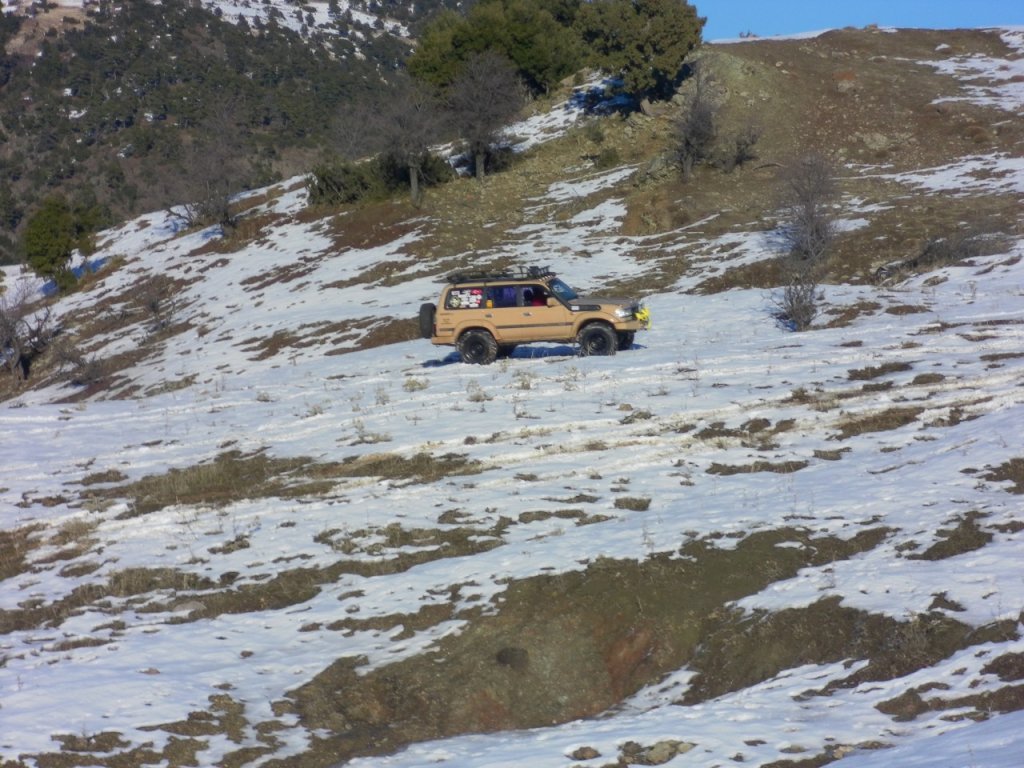 SAM_0711.jpg