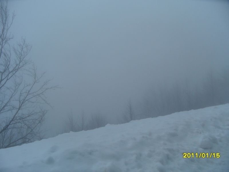 SAM_0725.jpg