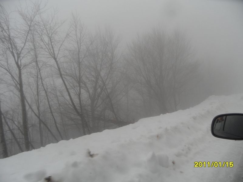 SAM_0726.jpg