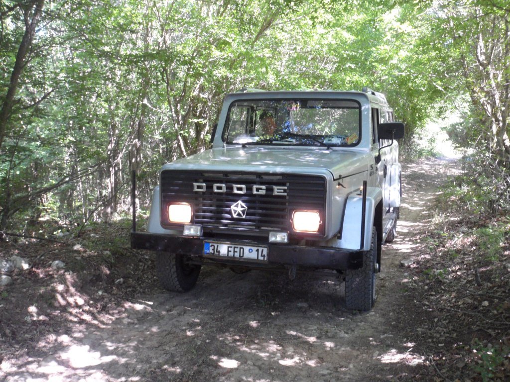 SAM_0793.JPG