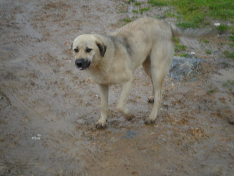 SAM_0929.jpg