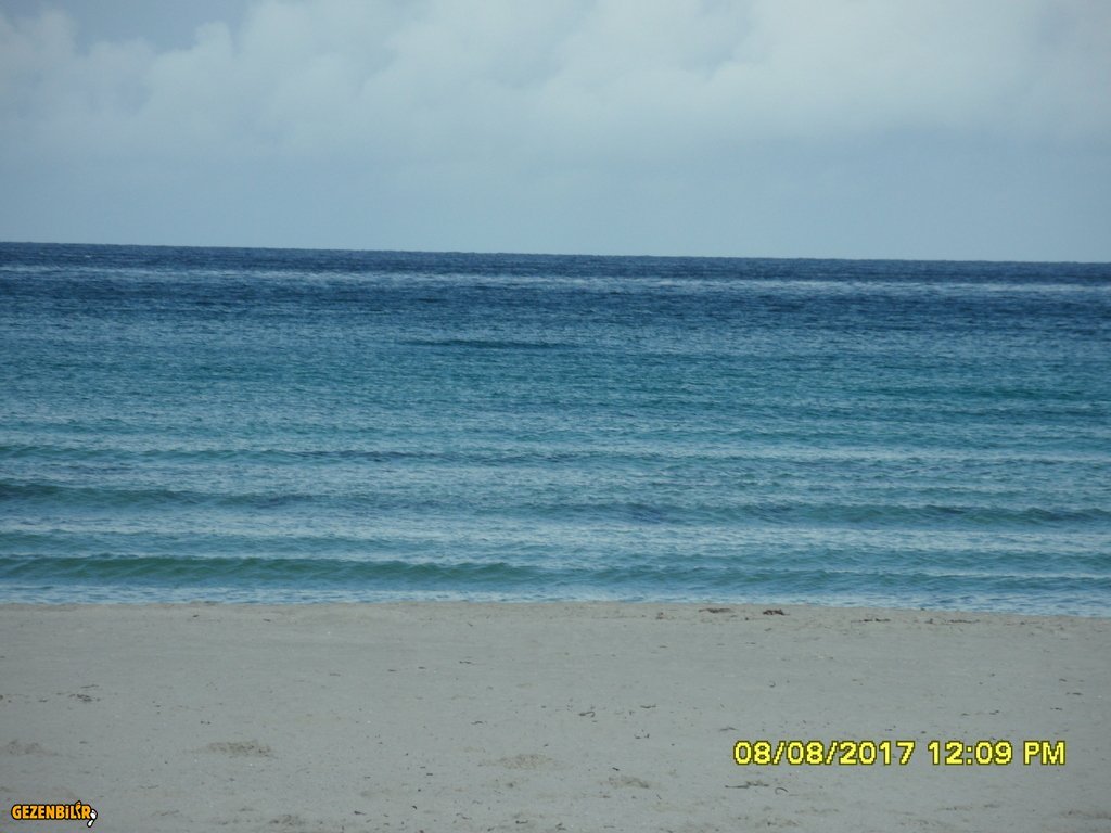 SAM_1159.JPG