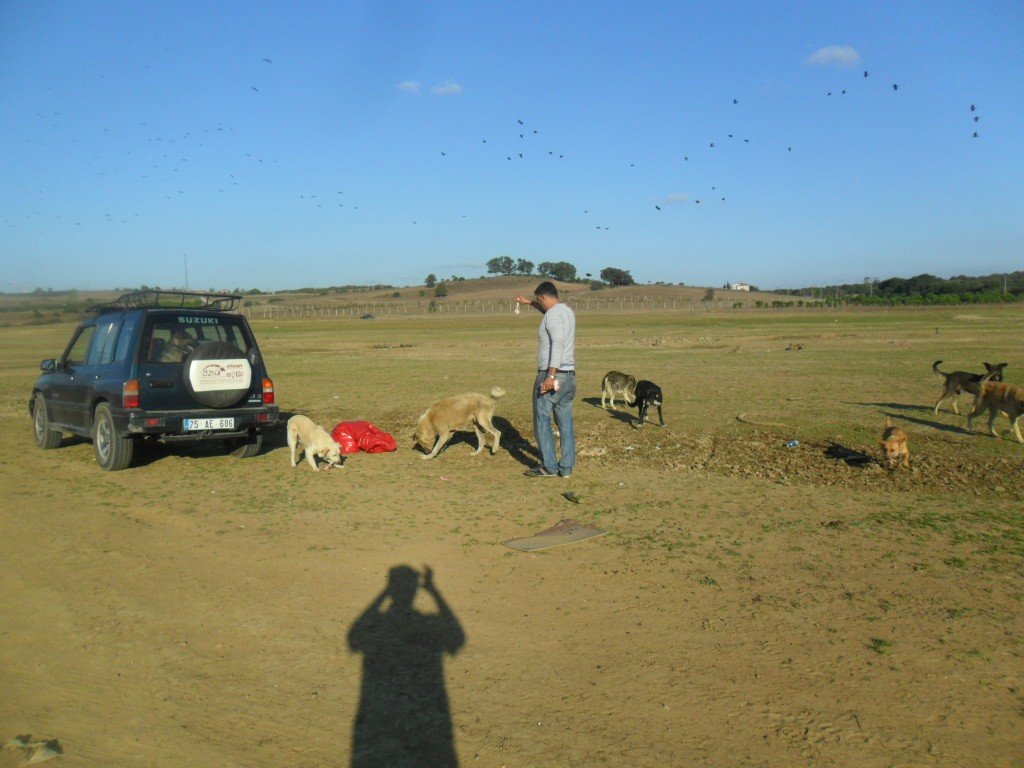 SAM_1210.JPG