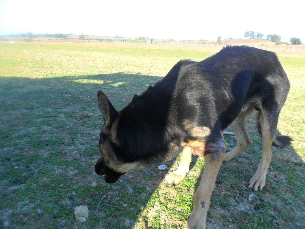 SAM_1215.JPG