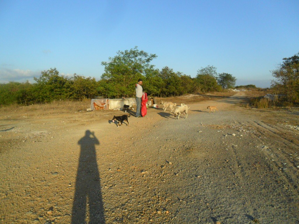 SAM_1249.JPG