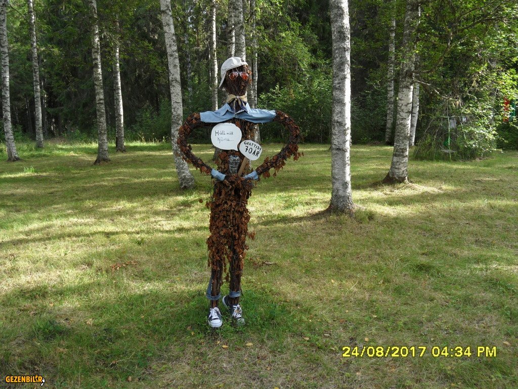 SAM_1706.JPG
