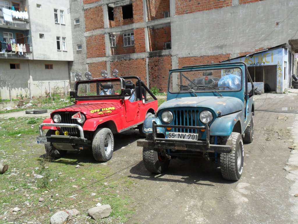 SAM_1972.JPG
