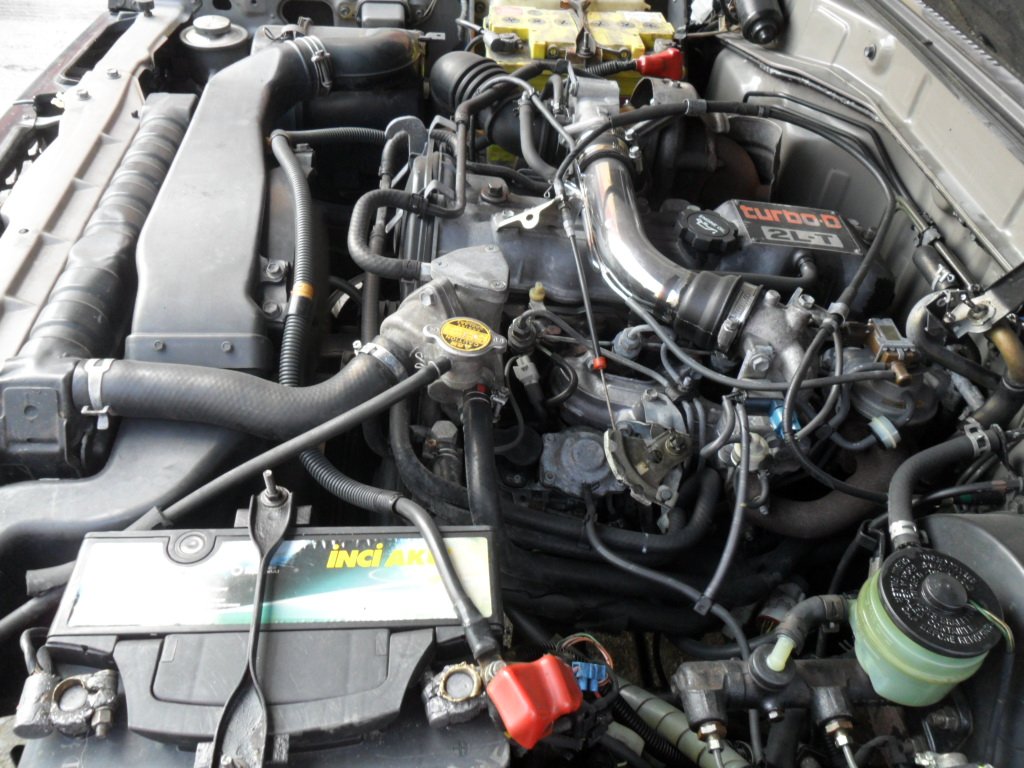 SAM_3524.JPG