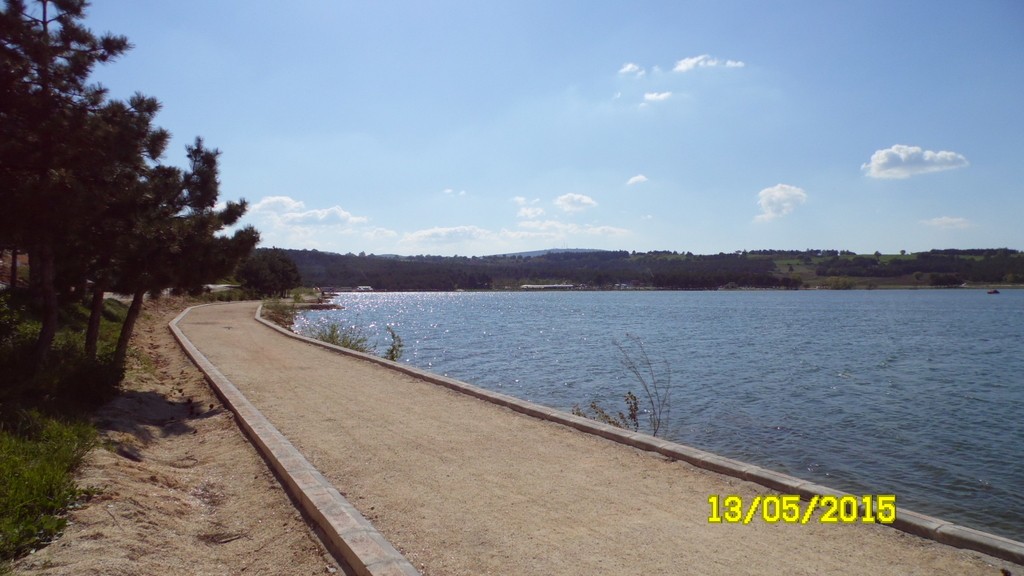 SAM_4774_1.JPG