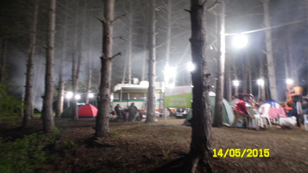 SAM_4785_1.JPG