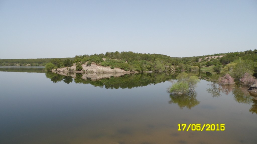 SAM_4809_1.JPG