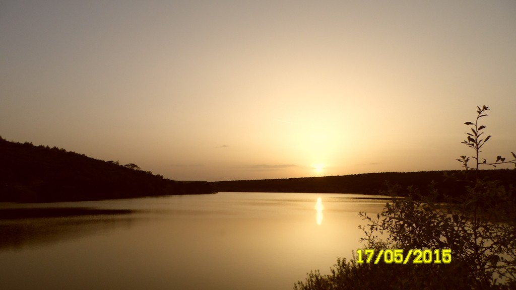 SAM_4823_1.JPG